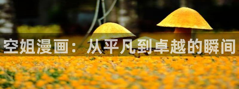 虫虫漫画页面免费漫画网